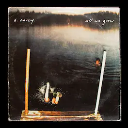 S. Carey - S. Carey 'All We Grow (Ten Year Anniversary Edition) - VINYL LP