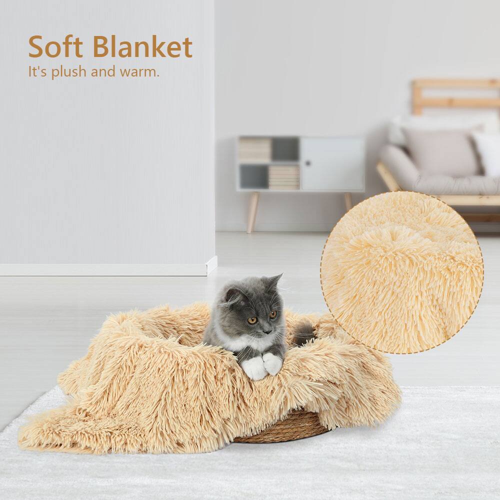 Soft Blanket  
It's plush and warm.