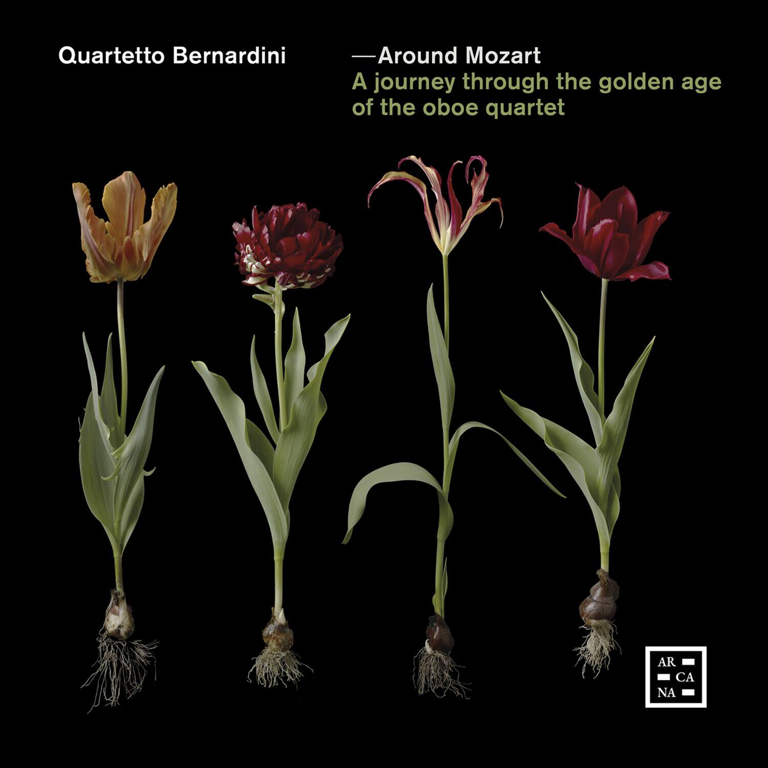 Various Artists - Around Mozart    - COMPACT DISCS [CD] price history on PriceWatchPro