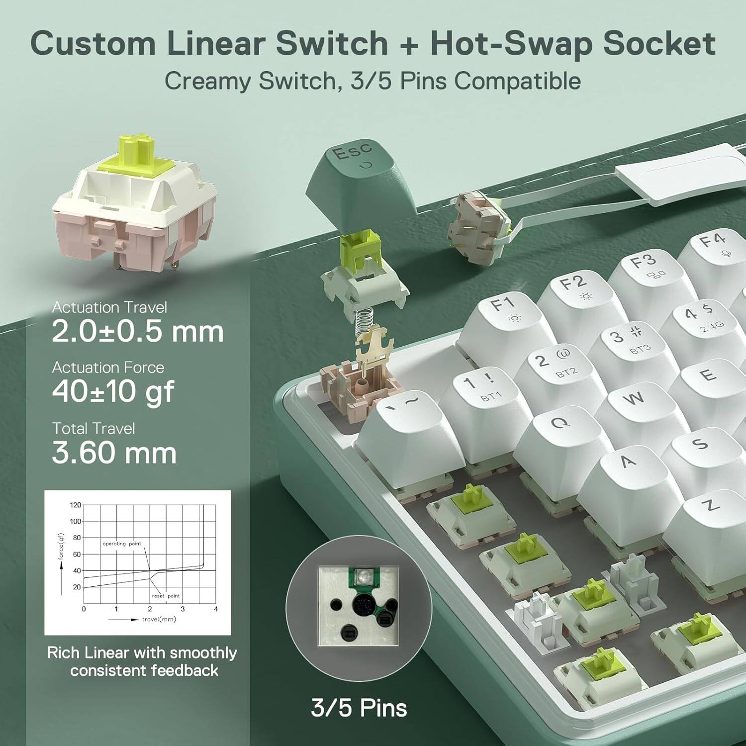 Custom Linear Switch + Hot-Swap Socket  
Creamy Switch, 3/5 Pins Compatible  

Actuation Travel: 2.0±0.5 mm  
Actuation Force: 40±10 gf  
Total Travel: 3.60 mm  

Rich Linear with smoothly consistent feedback  
3/5 Pins