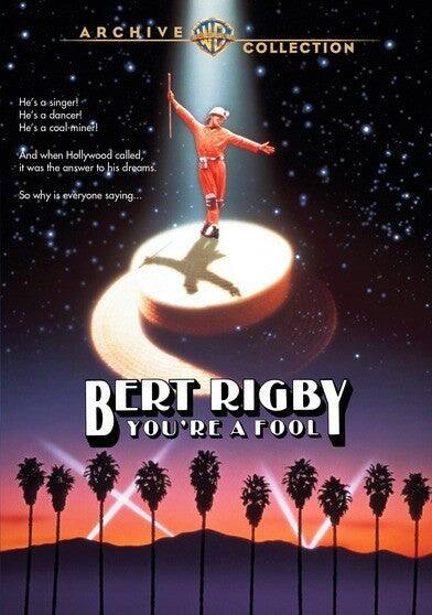 Bert Rigby, You're a Fool - DVD