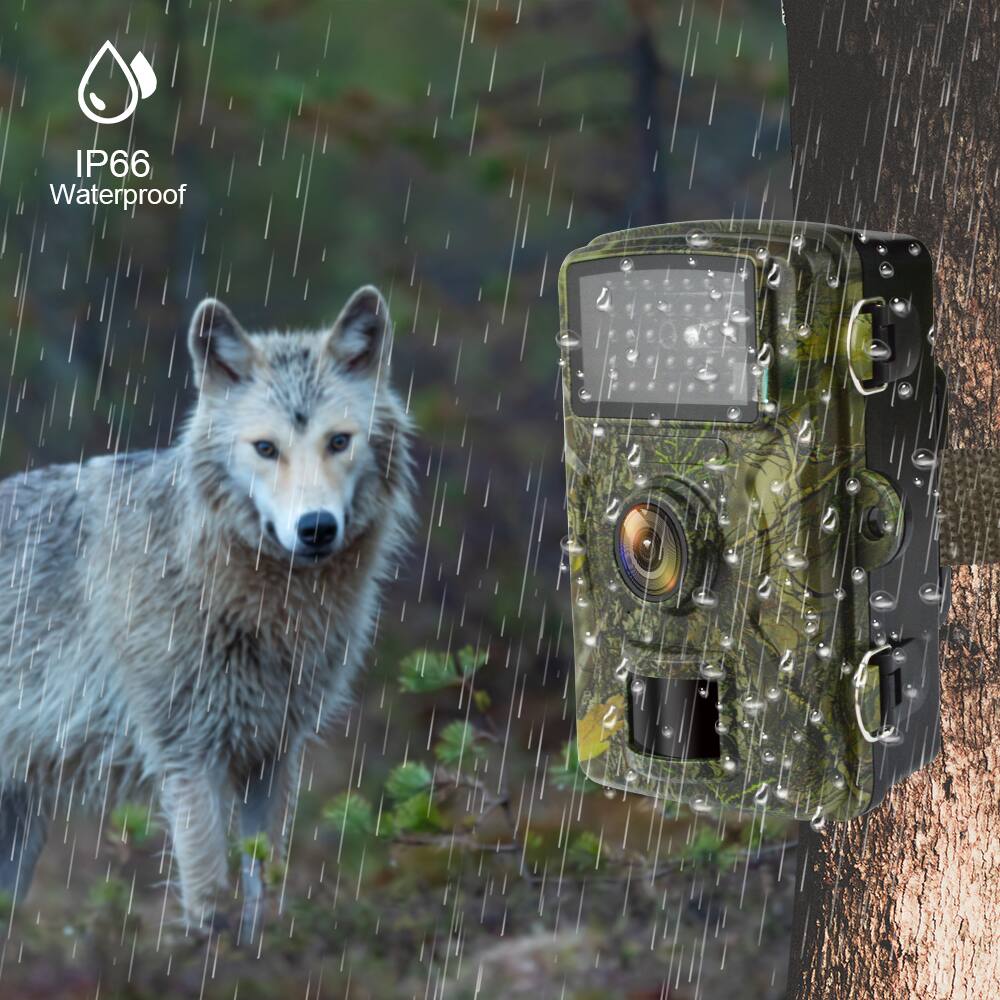 IP66 Waterproof