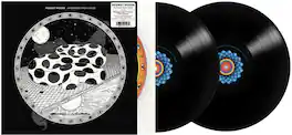Modest Mouse - An Eraser and a Maze - VINYL LP