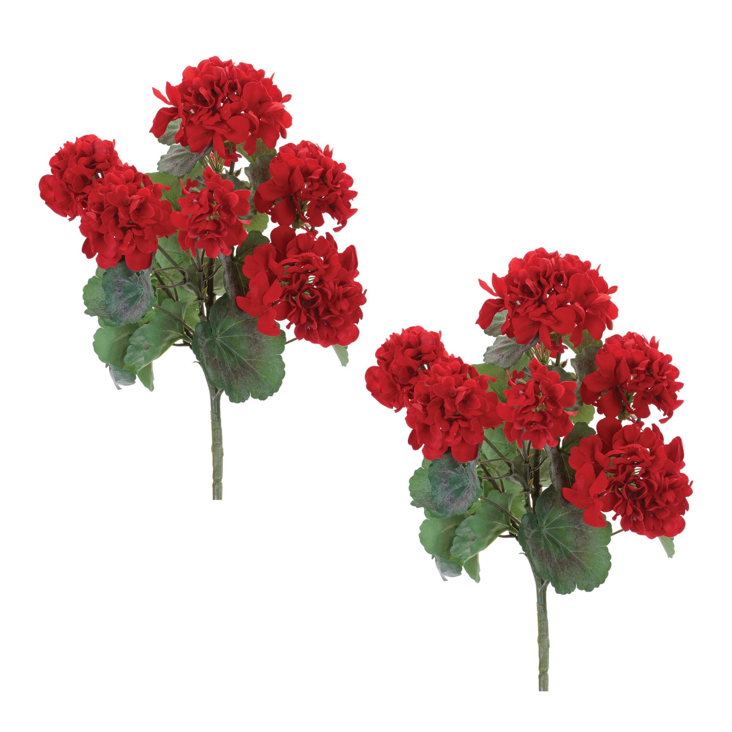 Left. BreeBe - Geranium Floral Bush (Set of 2) - Red, Green.