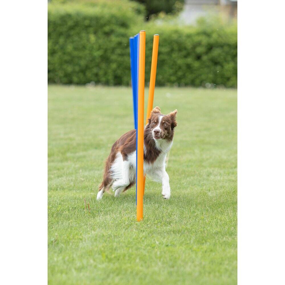 Alt View 2. TRIXIE - Dog Agility Slalom Set, 12 Piece Weaving Poles - Blue/Orange.
