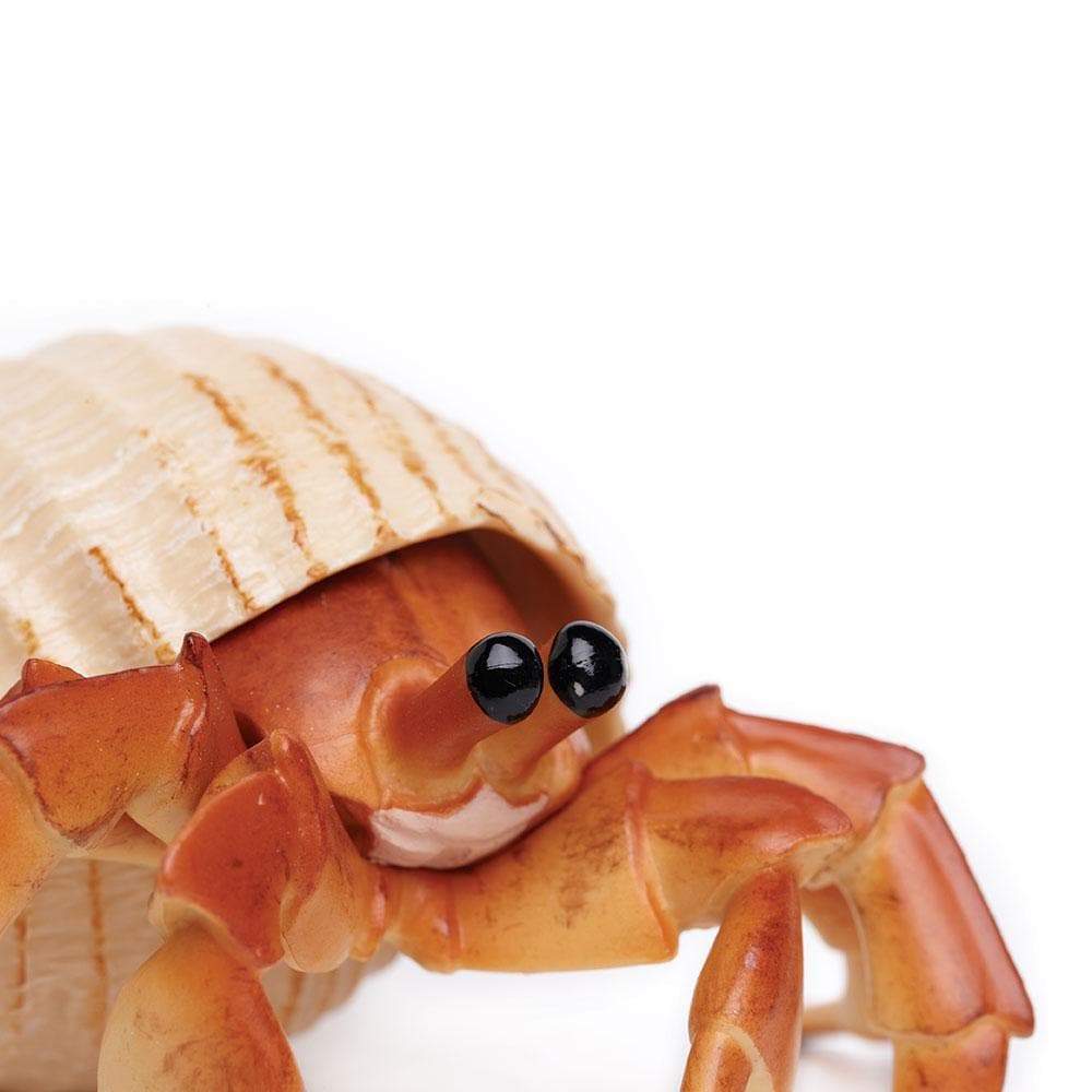 Back. Safari Ltd. - Hermit Crab Toy Figurine.