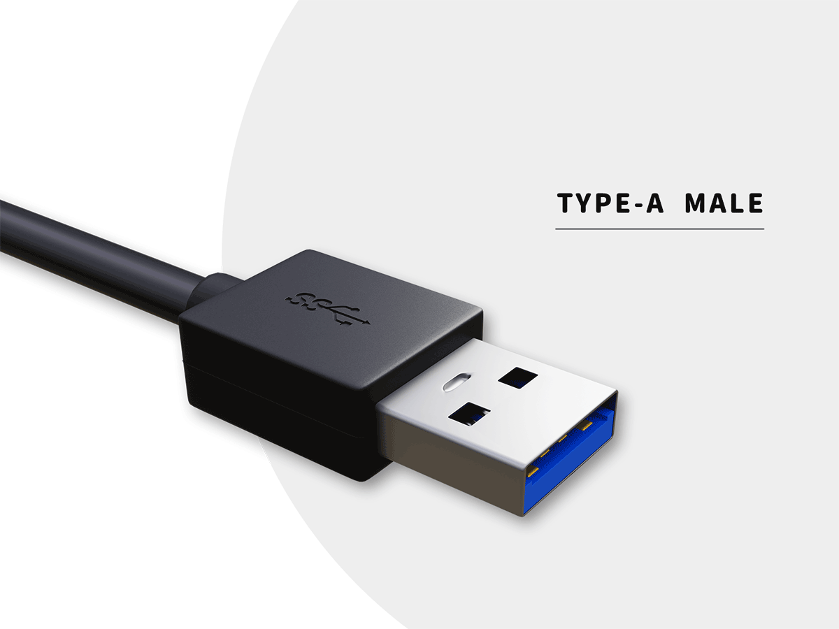 TYPE-A MALE