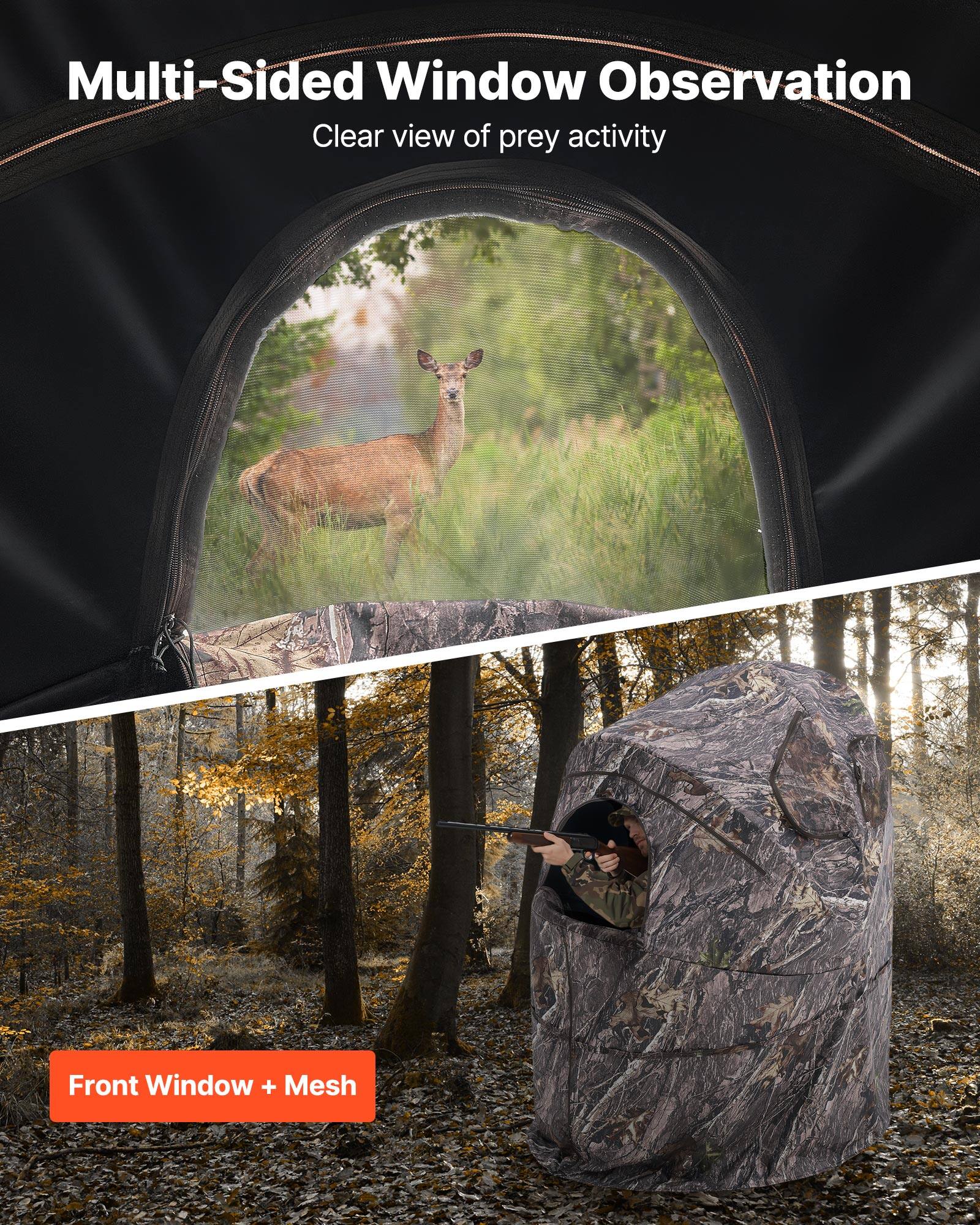 Multi-Sided Window Observation  
Clear view of prey activity  

Front Window + Mesh