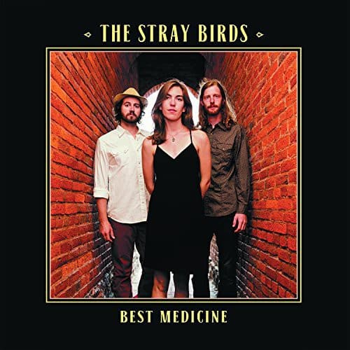 Stray Birds - Best Medicine   - COMPACT DISCS [CD] price history on PriceWatchPro