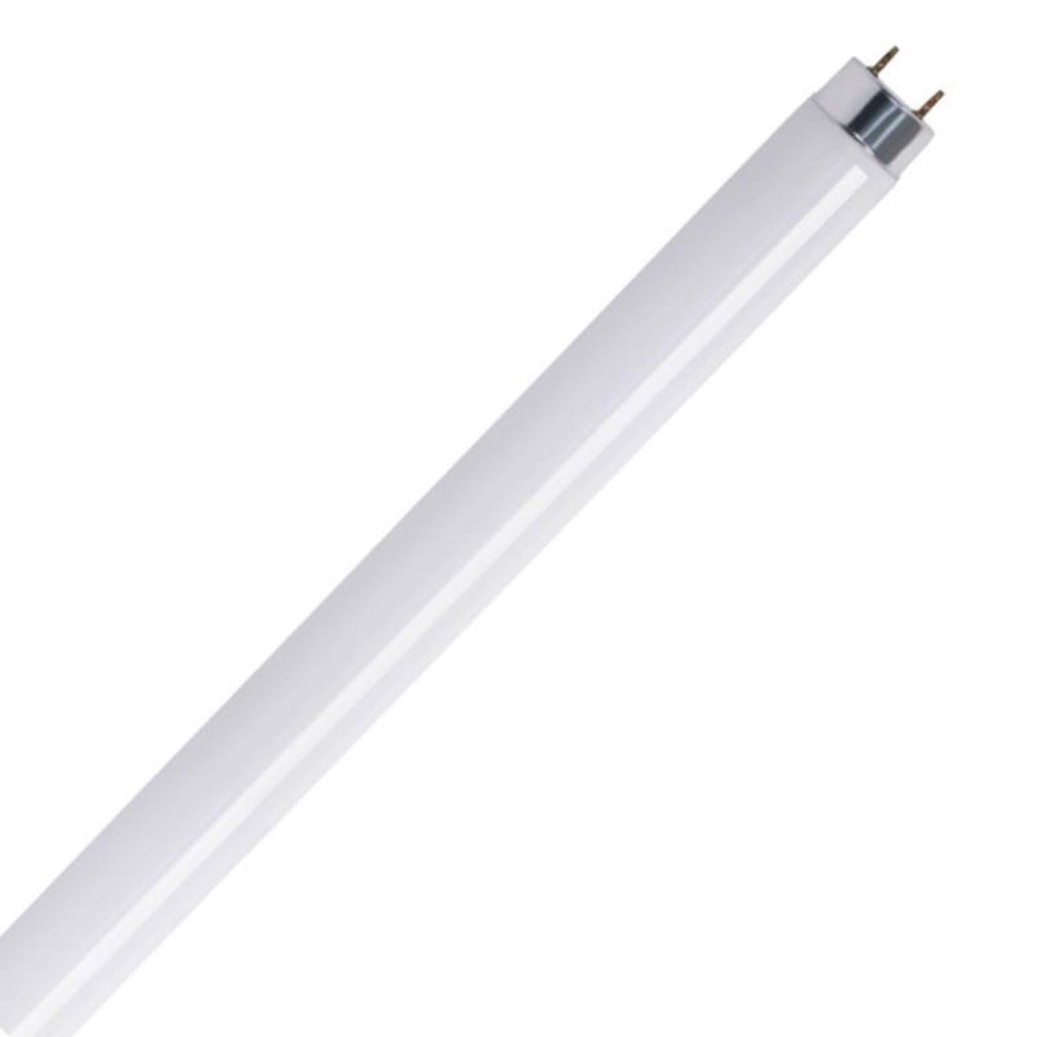 Left. FEIT ELECTRIC - Feit Legacy Bulbs 20 W T12 1.5 in. D X 24 in. L Fluorescent Bulb Cool White Linear 4100 K 2 pk.