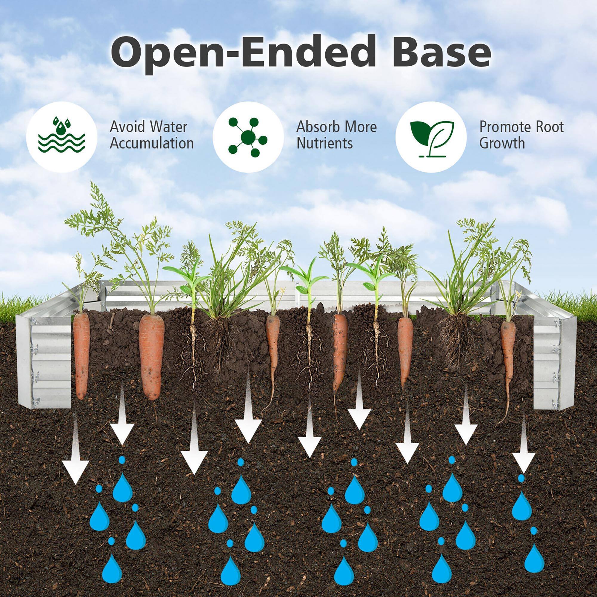 Open-Ended Base

- Avoid Water Accumulation
- Absorb More Nutrients
- Promote Root Growth