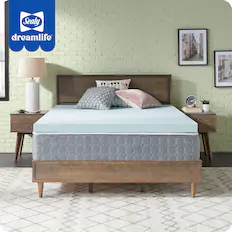 Sealy DreamLife