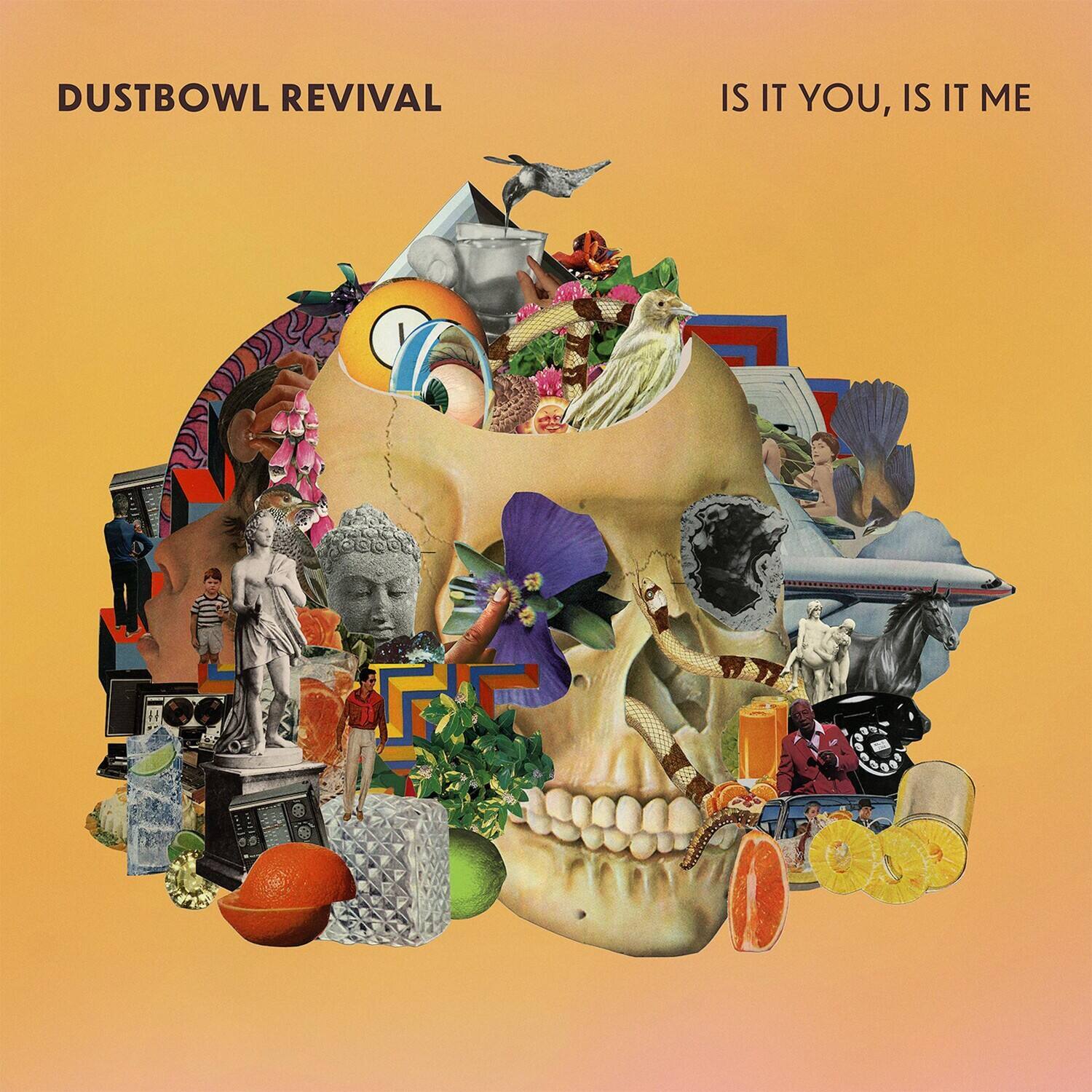 Dustbowl Revival - Is It You, Is It Me   - COMPACT DISCS [CD] price history on PriceWatchPro