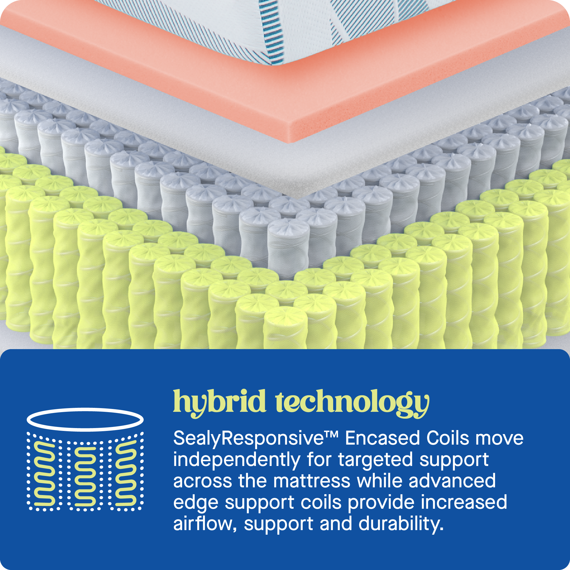 Hybrid Technology SealyResponsive Encased Coils move independently for targeted support across the mattress coils provide while advanced increased airflow, support and durability.