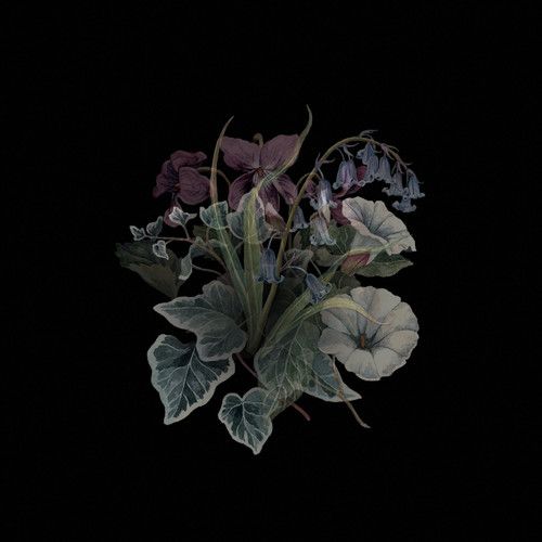 Wildflowers [LP] - VINYL