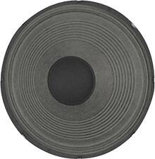 Eminence - Patriot 12.02" 50 W Indoor/Outdoor Speaker - Multi