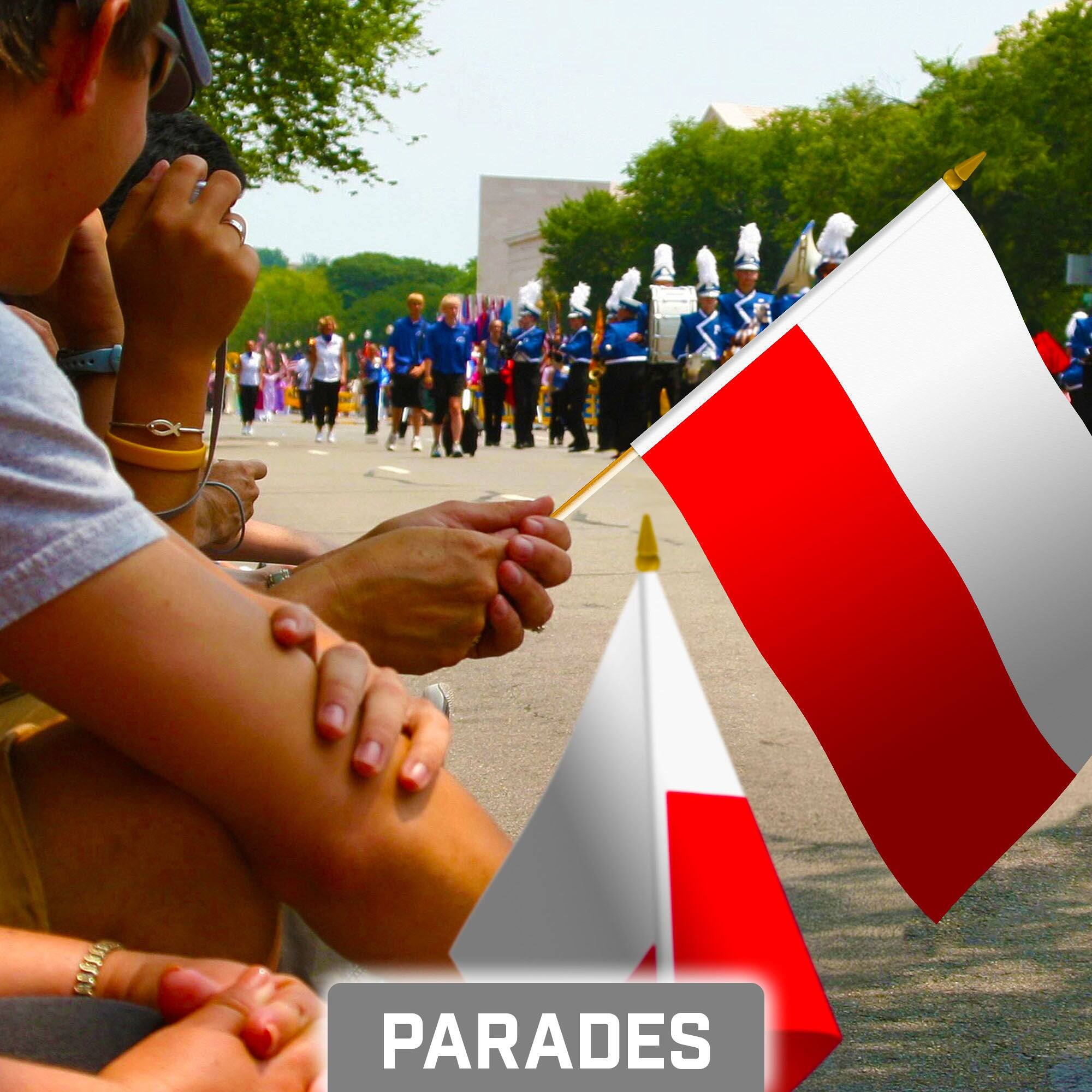 Alt View 1. G128 - 30-Pack Handheld Poland Stick Flags, 8 x 12 in, 150D Polyester with Wooden Stick and Gold Spear Tip. - Assorted Colors.