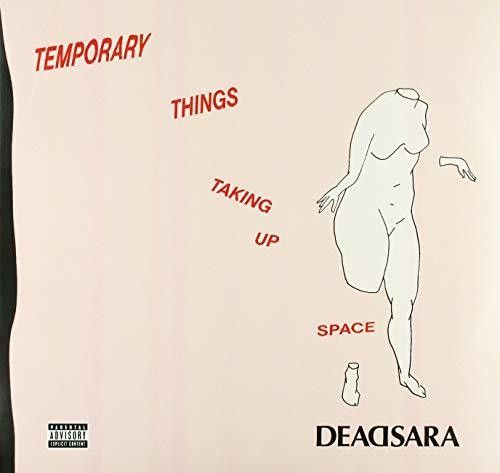 Temporary Things Taking Up Space [LP] - VINYL
