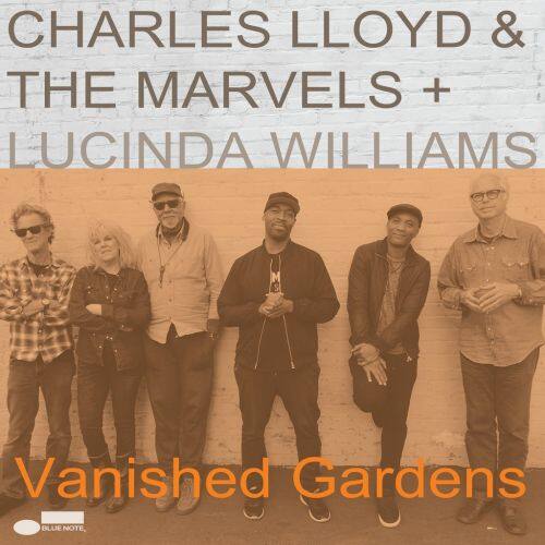  Vanished Gardens [LP] - VINYL