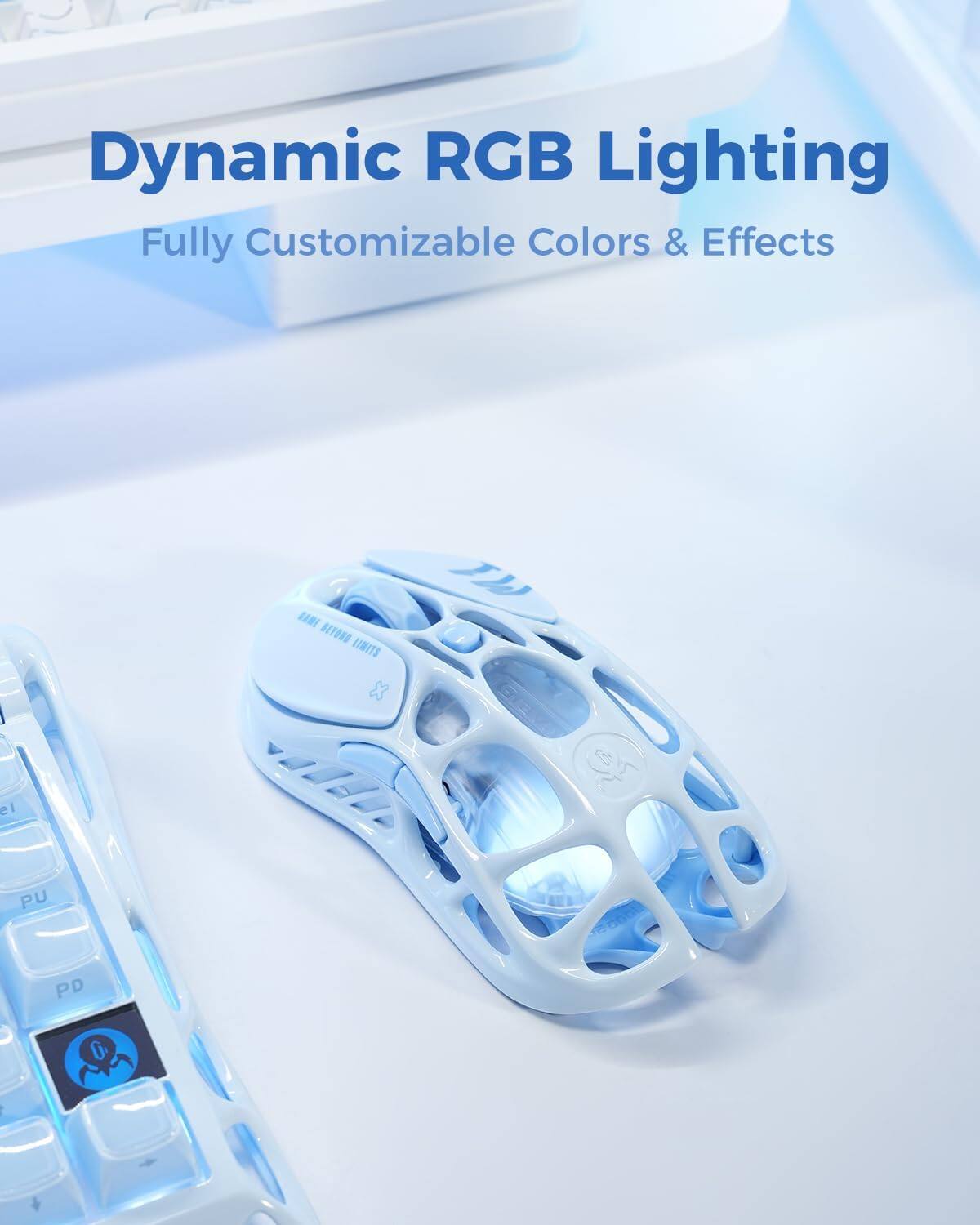 Dynamic RGB Lighting  
Fully Customizable Colors & Effects