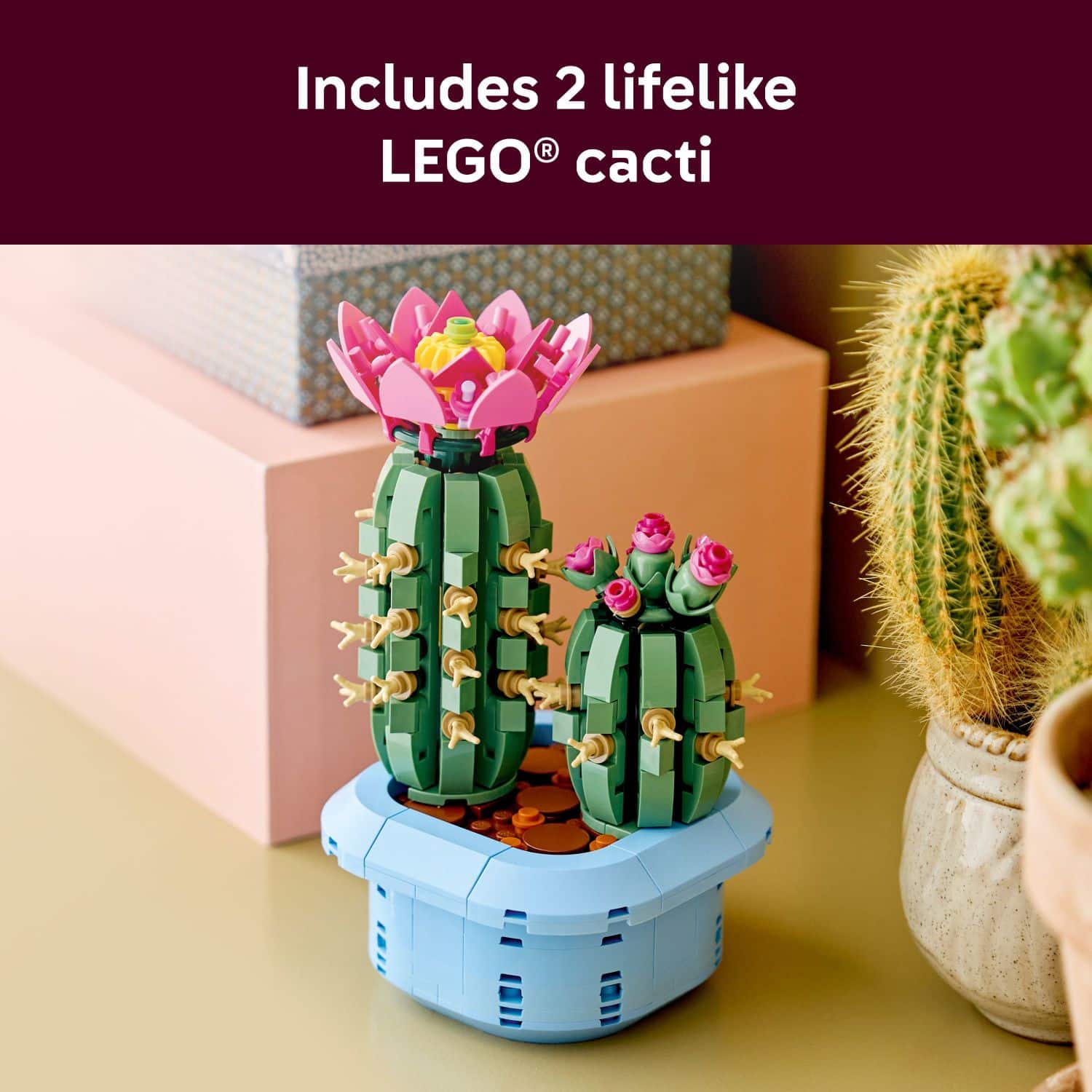 Includes 2 lifelike LEGO® cacti