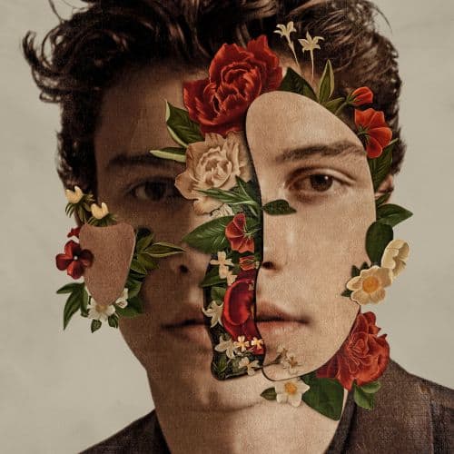 Shawn Mendes [LP] - VINYL