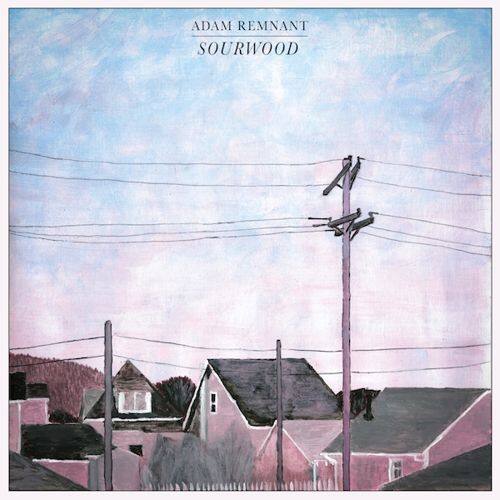 

Sourwood [LP] - VINYL