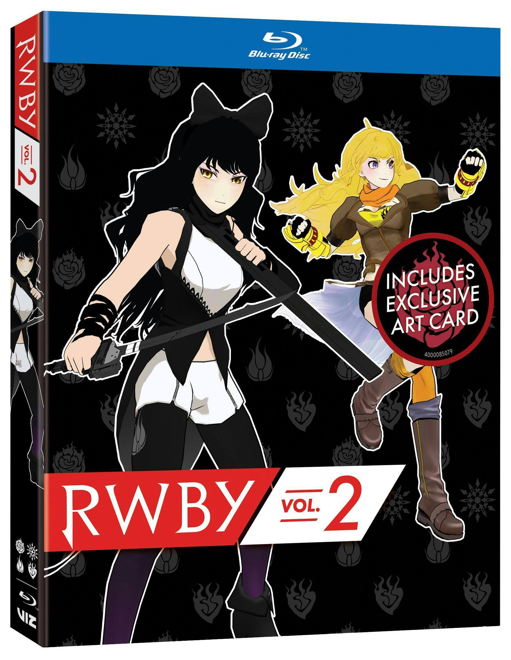 Angle. RWBY Volume 2   - BLU-RAY.