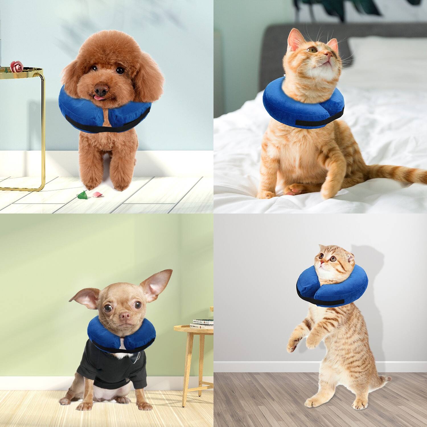 Back. DirectDeals - Inflatable Pet Collar - Blue.