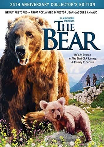 The Bear  - DVD
