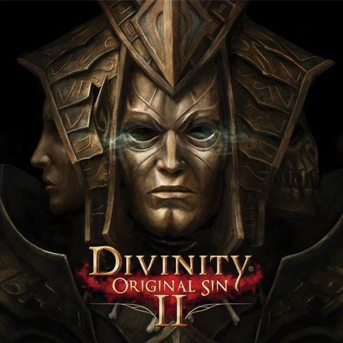 Divinity original sin 2 мишка бран мишка кабу что с ними делать