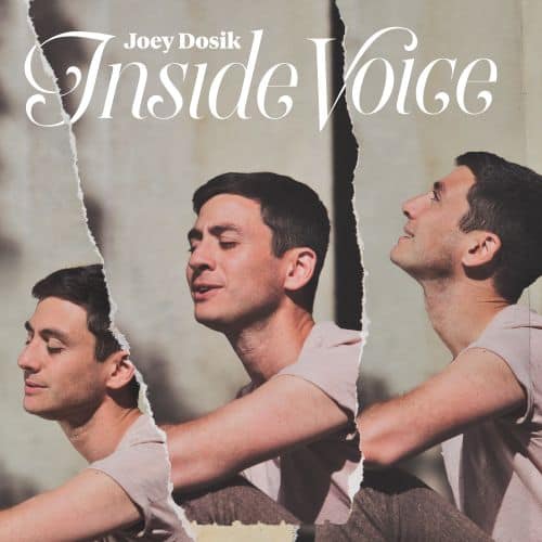 

Inside Voice [LP] - VINYL