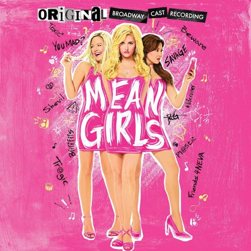 MEAN GIRLS Burn Book Pillow – Broadway Merchandise Shop by