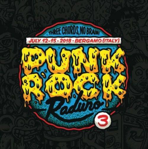 

Punk Rock Raduno, Vol. 3 [LP] - VINYL