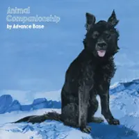 Animal Companionship [LP] - VINYL - Front_Original
