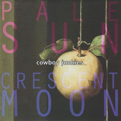 

Pale Sun, Crescent Moon [LP] - VINYL