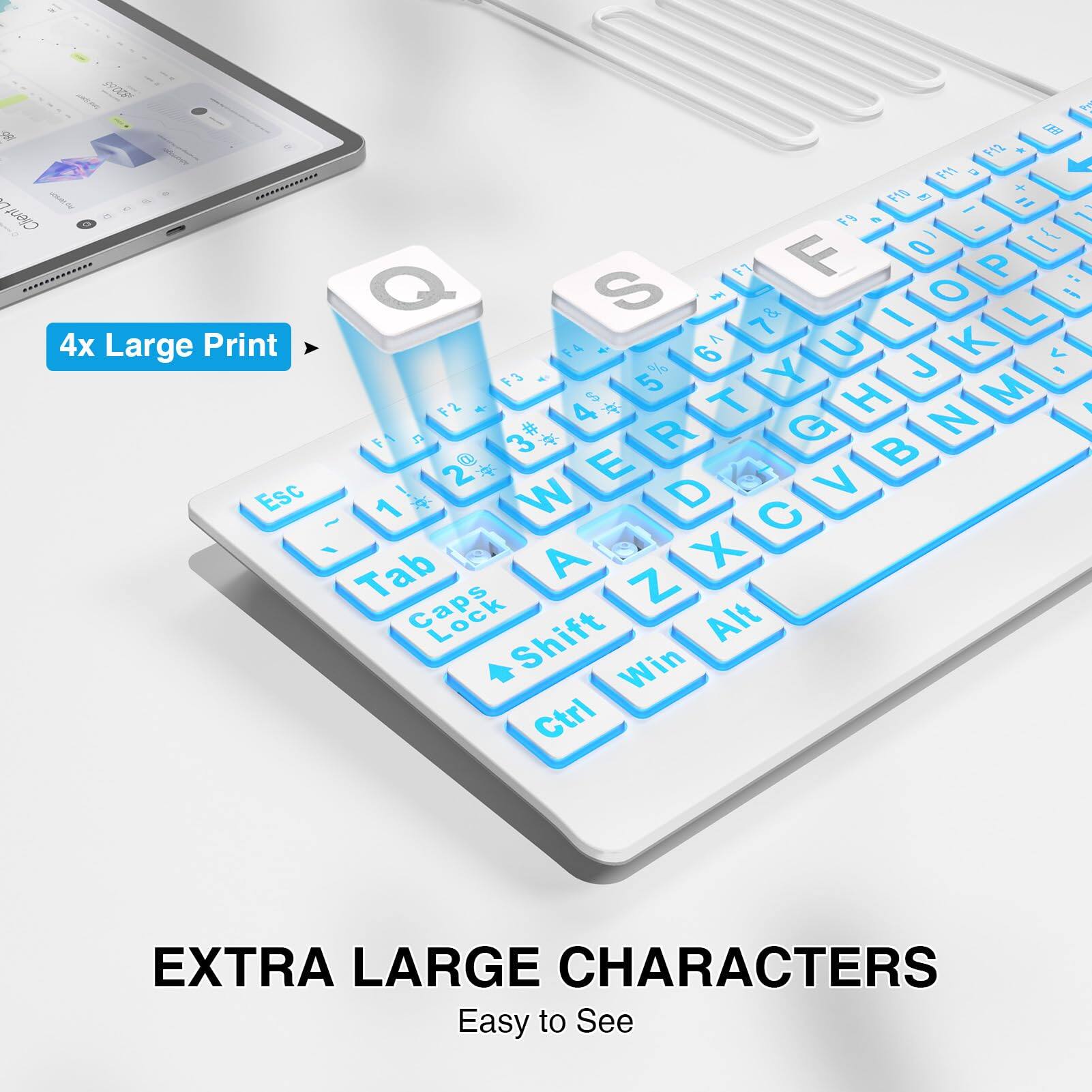 Sure, here is the corrected and grouped text from the image:

---

**4x Large Print**

**EXTRA LARGE CHARACTERS**

Easy to See

---

**N E P2 . F1 D F10 + V = Client F1 & I F 0 1] ............. F7 P : Q S M 7& & I O L i 4x Print A U K Large F4 4 6 F3 4 5 % Y J I F2 4 S T H M 1 F 1 3 * R G N 2 B * E B Esc 1 W D V ~ C 1 Tab A X Caps S Z Shift Alt Win Ctrl**

---

This text appears to be a mix of keyboard keys and some additional characters, possibly for demonstration purposes.