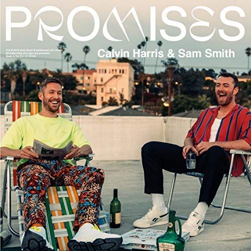 Promises [12 inch Vinyl Single]