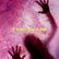 Front Standard. The Blob [Original Motion Picture Soundtrack] [LP] - VINYL.