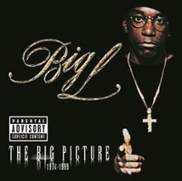 The Big Picture (1974-1999) [LP] - VINYL - Front_Standard