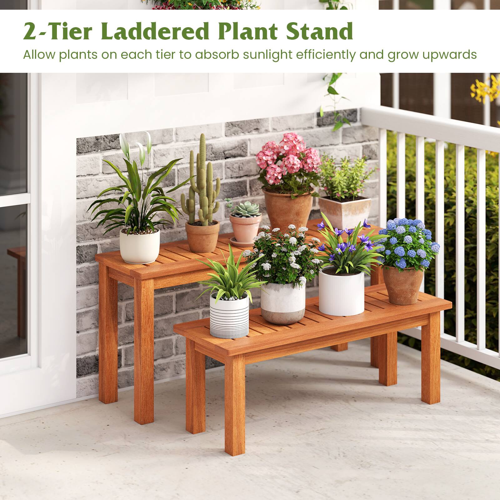 2-Tier Laddered Plant Stand  
Allow plants on each tier to absorb sunlight efficiently and grow upwards