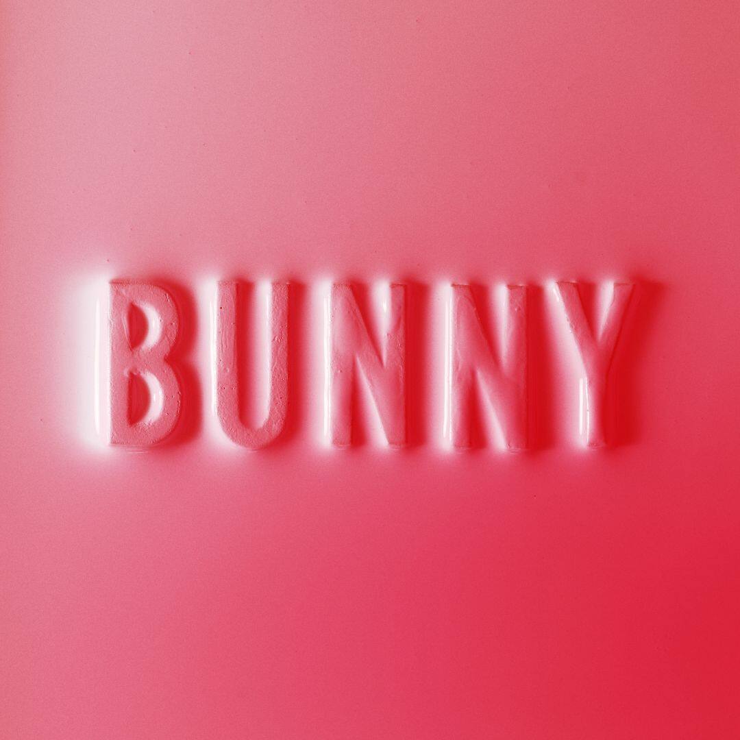 Best Buy Bunny [LP] VINYL