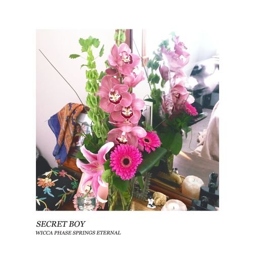 Front. Secret Boy [LP].