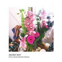 Secret Boy [LP] - VINYL - Front_Original