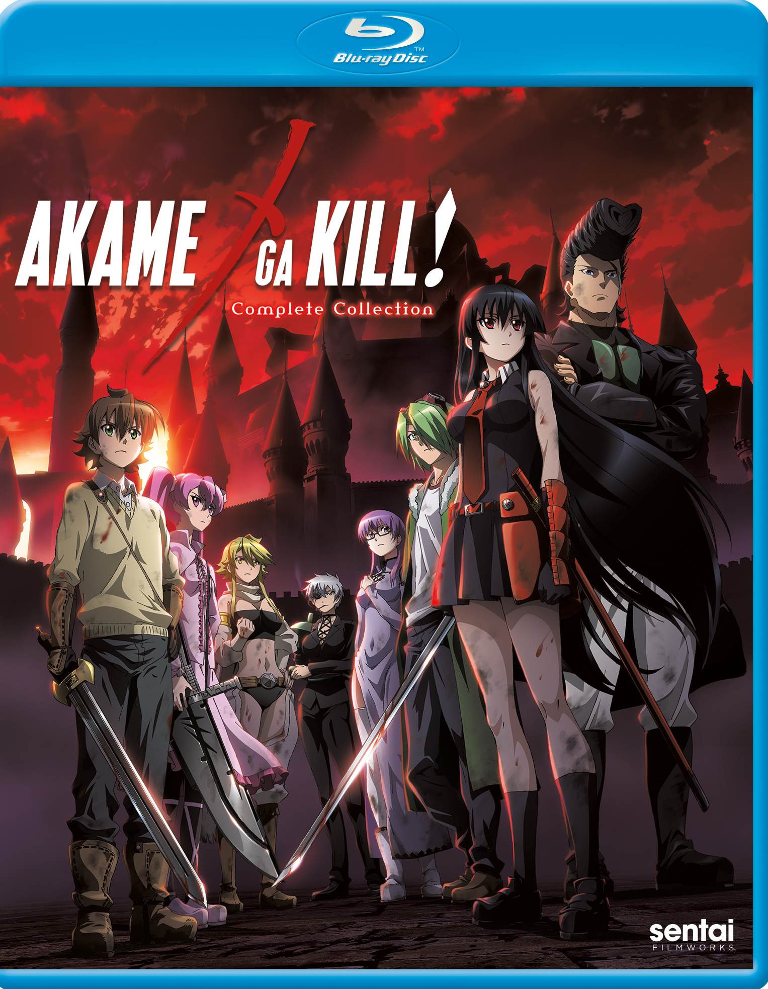 Best Buy: Akame Ga Kill!: Collection 1 [3 Discs] [DVD]