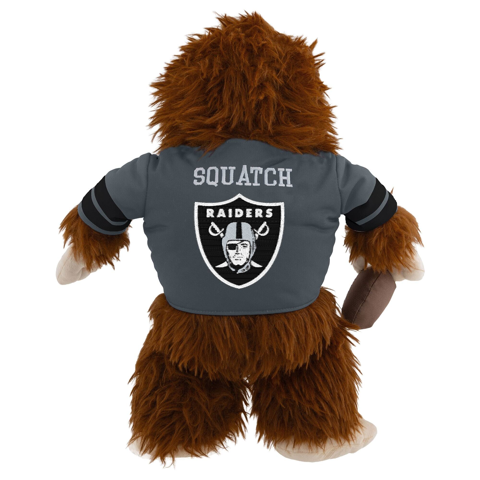 SQUATCH RAIDERS