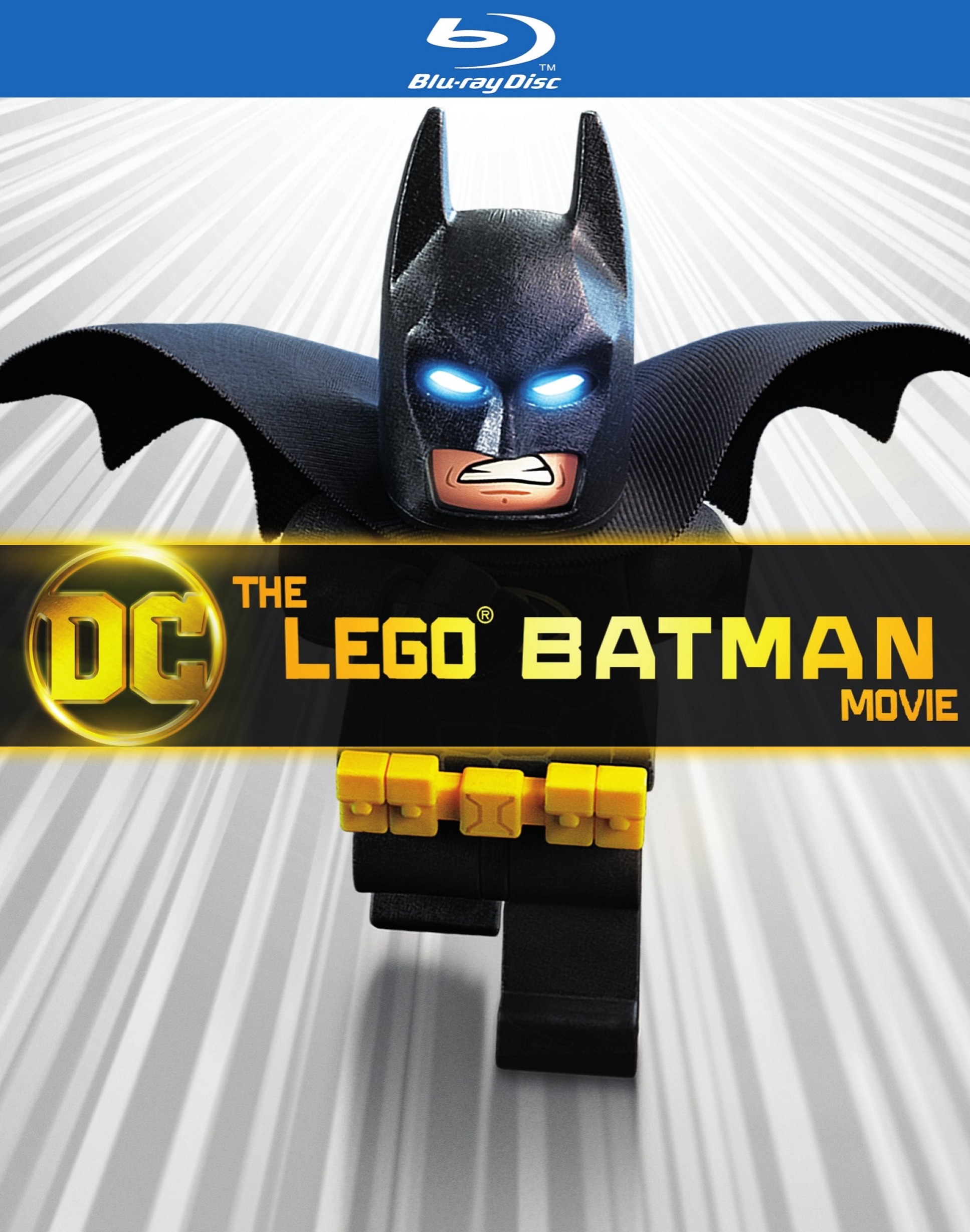 Best Buy: The LEGO Batman Movie [DVD] [2017]
