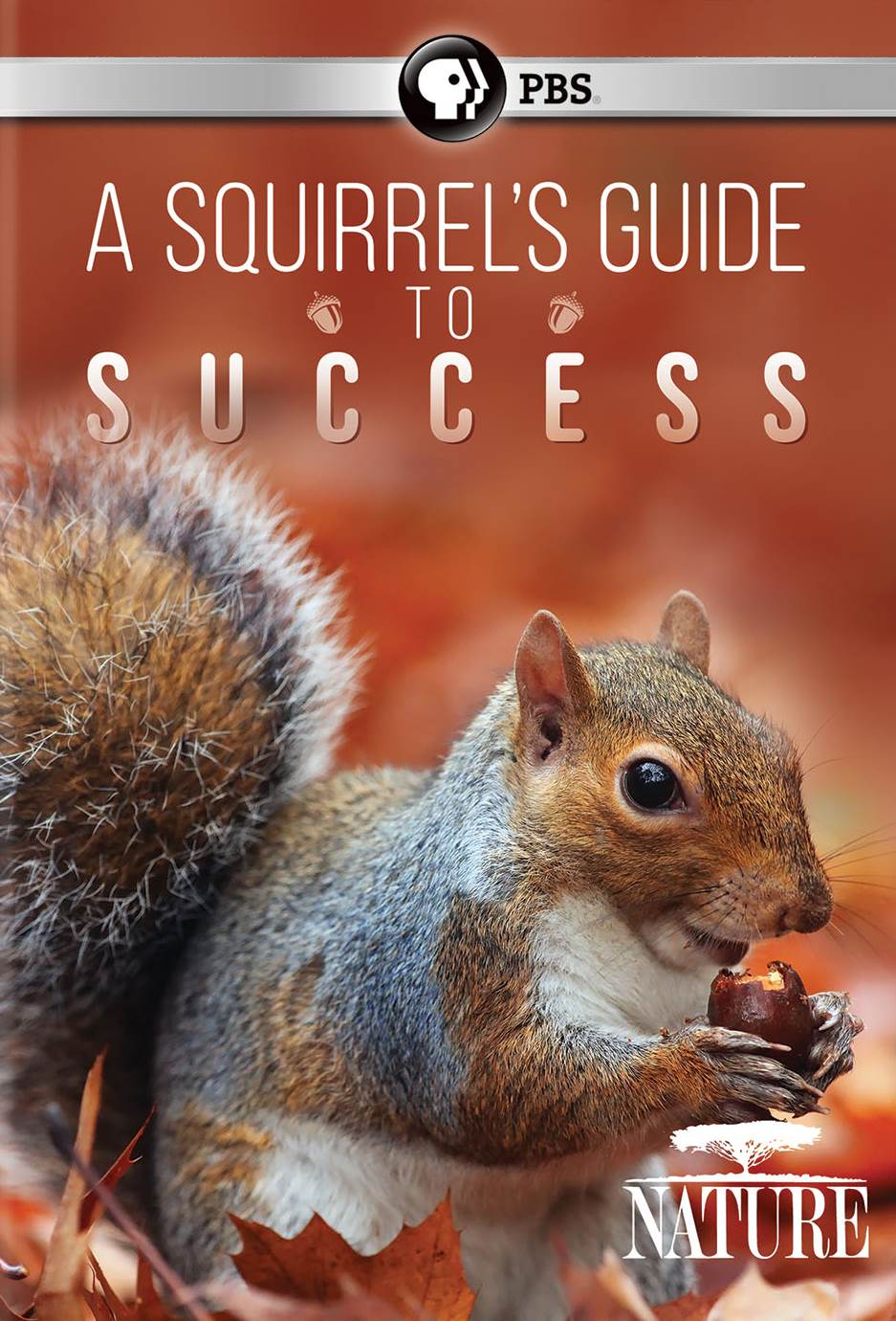 tryllekunstner indlysende Joseph Banks Nature: A Squirrel's Guide to Success [DVD] [2018] - Best Buy