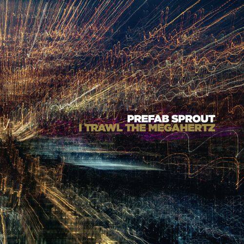 

I Trawl the Megahertz [LP] - VINYL