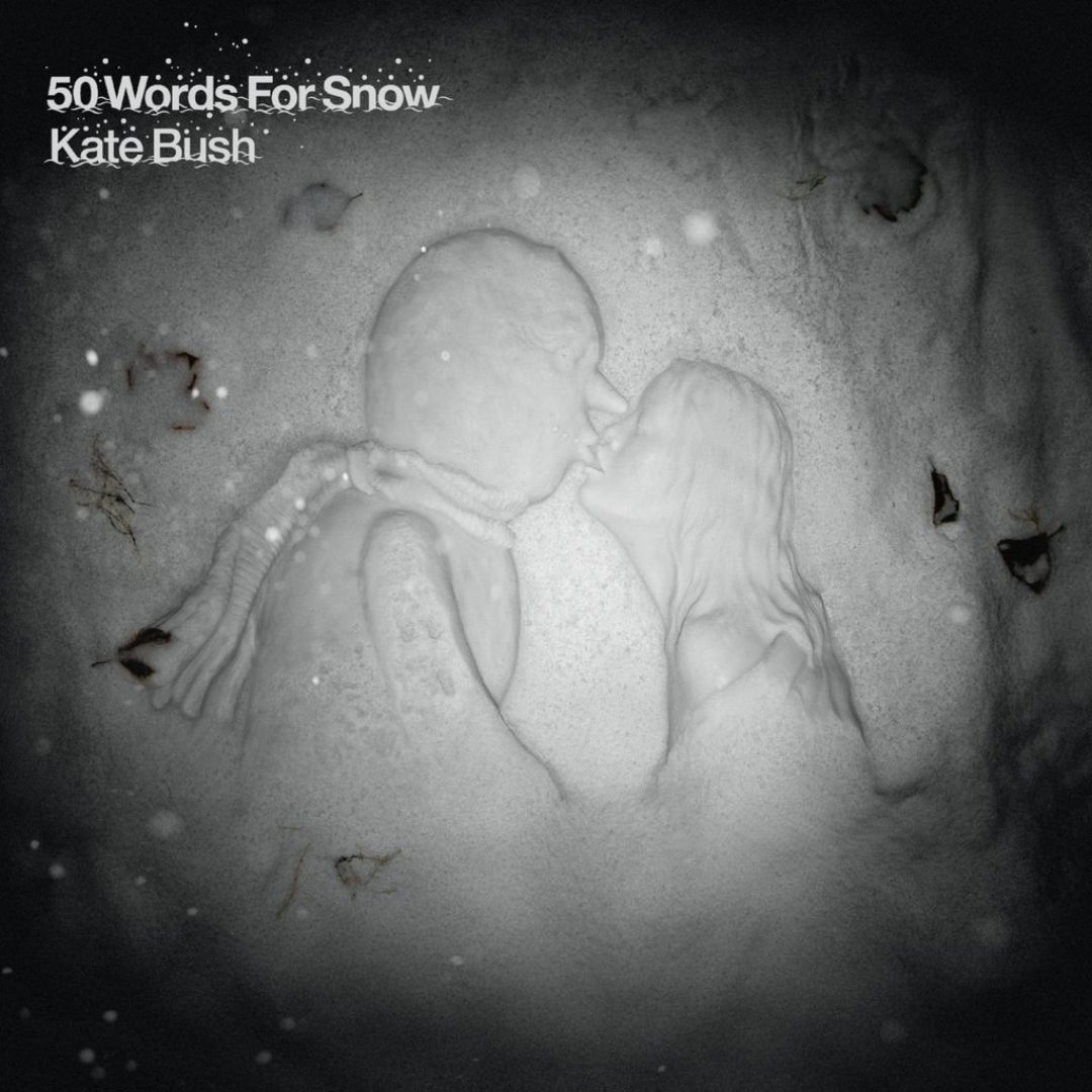 50 Words for Snow [LP] - VINYL